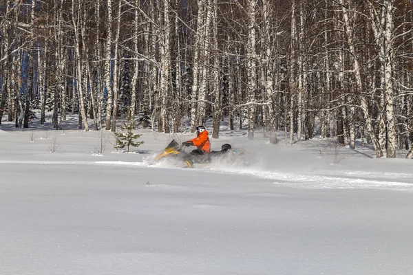 Athlete on a snowmobile. Stock Photo