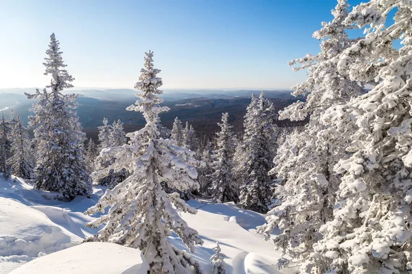 산에서의 겨울 — 스톡 사진