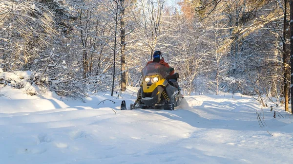 Atleta em uma moto de neve. — Fotografia de Stock