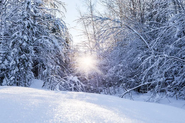 Inverno nas montanhas — Fotografia de Stock