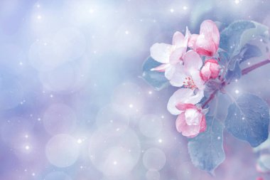 Mor renk tonu ile görüntü.