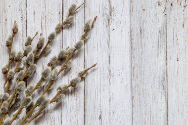 Bir söğüt ile görüntü.