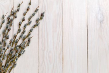 Bir söğüt ile görüntü.