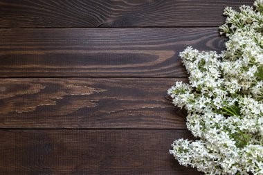 Leylak tüm dalları görüntüsünü.