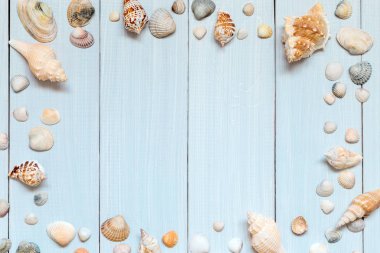Deniz kabukları ile resim.