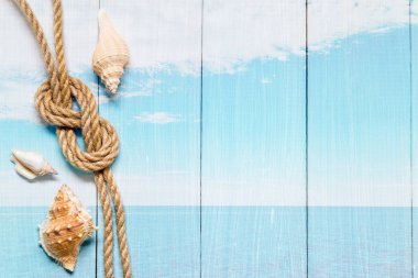 Deniz kabukları ile resim.