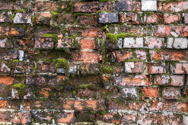 Imagen con una pared de ladrillo . — Foto de Stock