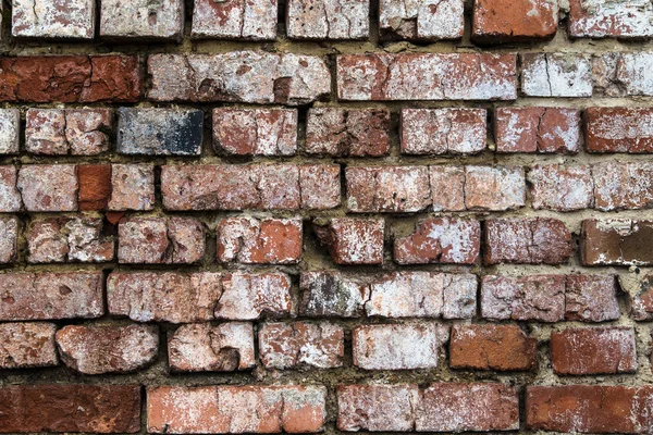 Bir tuğla duvar ile görüntü.