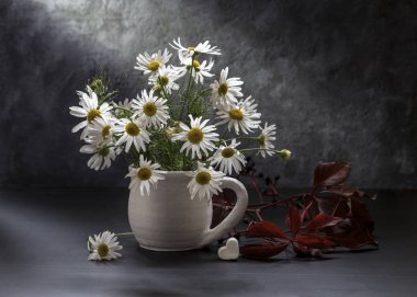 Papatyalı görüntü.