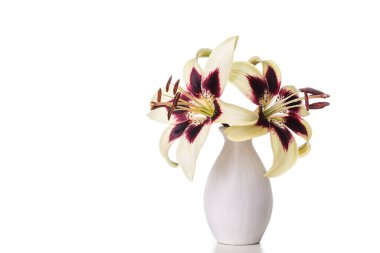 Zambak ile görüntü.