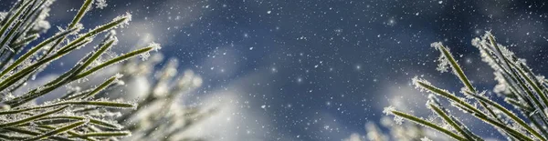 Winter-Panorama-Hintergrund. — Stockfoto