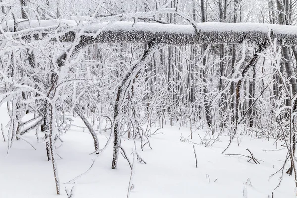 Invierno en las montañas — Foto de Stock