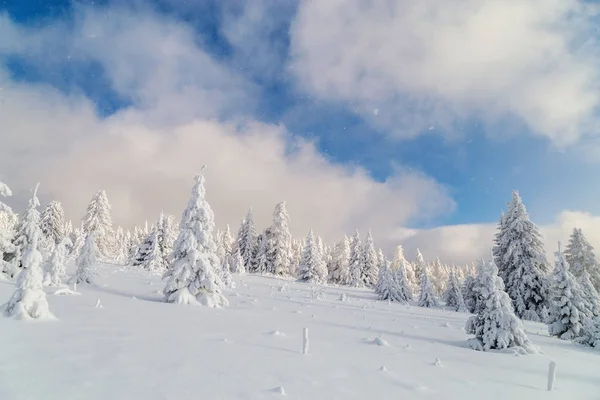 산에서의 겨울 — 스톡 사진