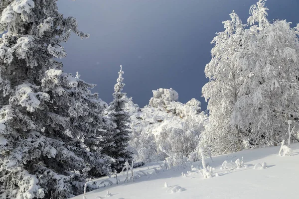 Ural Dağlarında Kışın Karla Kaplı Ağaçlar — Stok fotoğraf