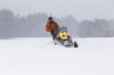 Güney Urallar 'ın dağlarındaki kış ormanlarında hareket eden bir kar aracının atleti..