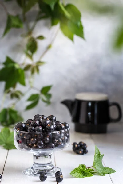 Image with black currant. — Stock Photo, Image