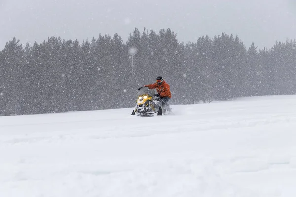 Atleta Snowmobile Que Move Floresta Inverno Nas Montanhas Dos Urais — Fotografia de Stock