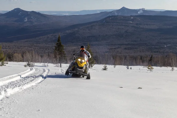 Athlète Motoneige Déplaçant Dans Forêt Hiver Dans Les Montagnes Sud — Photo