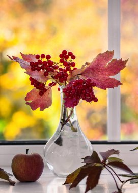 Viburnum branches in a vase against the background of a window.