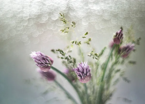 Bir buket çiyli yabani çiçek..