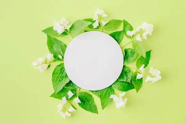 Mockup round white frame with jasmine flowers and green leaves on a green background
