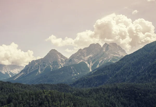 Paisaje de Montañas y Hierba del Tirol del Sur —  Fotos de Stock