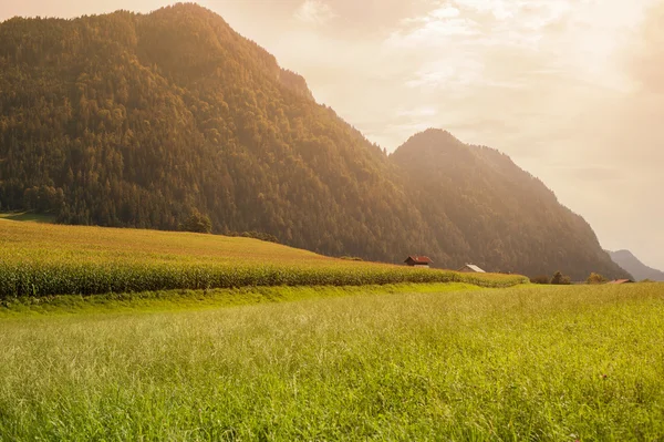 Paisaje de Montañas y Hierba del Tirol del Sur —  Fotos de Stock