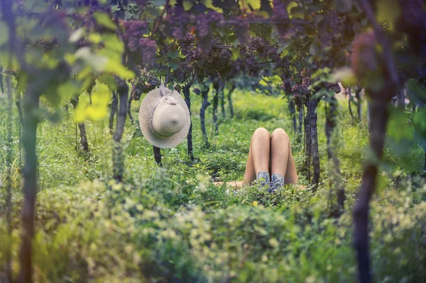 Krásná žena v klobouku na vinici — Stock fotografie