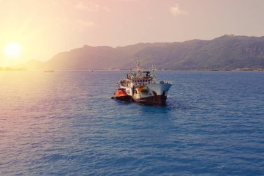  Tropikal Seyşeller gemilerde. Ada Mahe palmiye ağaçlarının