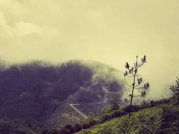 Naturaleza Norte de Portugal campos y montañas en la niebla. Atmosférico — Foto de Stock