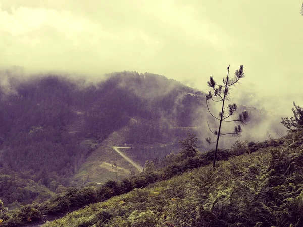 Natura Portogallo settentrionale campi e montagne nella nebbia. Atmosferica — Foto Stock