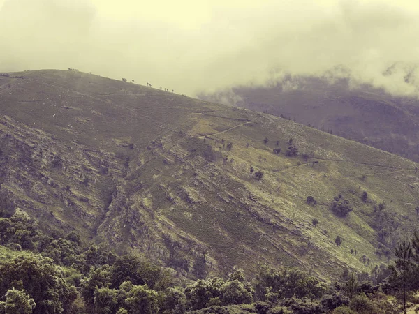 Natur nördlich portugiesische Felder und Berge im Nebel. atmosphärisch — Stockfoto