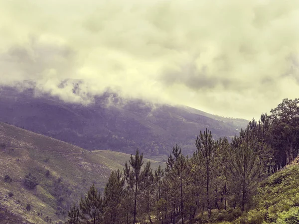 Naturaleza Norte de Portugal campos y montañas en la niebla. Atmosférico — Foto de Stock