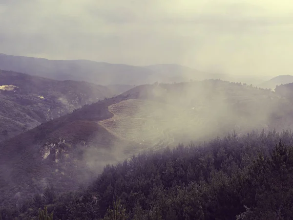 Naturaleza Norte de Portugal campos y montañas en la niebla. Atmosférico — Foto de Stock