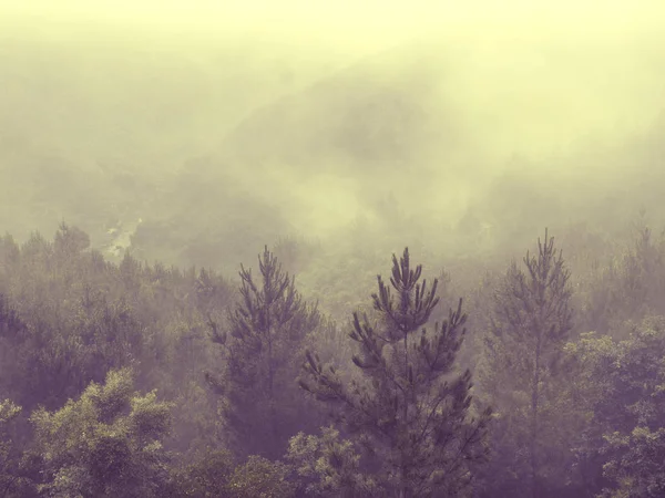 Nature Northern Portugal fields and mountains in fog. Atmospheric — Stock Photo, Image