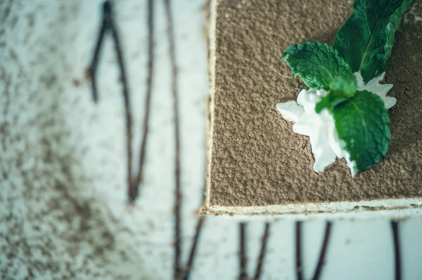 Italiensk dessert tiramisu med mynta på en tallrik med choklad linje. Tiramisu vy från ovan — Stockfoto