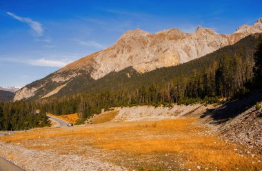 İsviçre Alpleri ve İsviçre Ulusal parc orman manzara. İsviçre Alpleri üzerinde sonbahar. Parc Naziunal Svizzer. Swiss Kanton Graubunden. Val Mstair Region