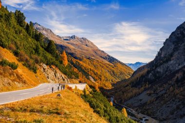 İsviçre Alpleri ve İsviçre Ulusal parc orman manzara. İsviçre Alpleri üzerinde sonbahar. Parc Naziunal Svizzer. Swiss Kanton Graubunden. Val Mstair Region