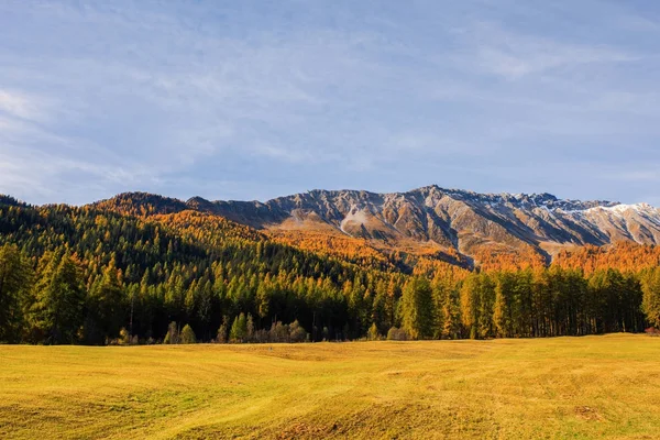 Paisagem dos Alpes Suíços e floresta do parque nacional na Suíça. Alpes da Suíça no outono. Parc Naziunal Svizzer. Cantão suíço de Graubunden. Região de Val Mstair — Fotografia de Stock