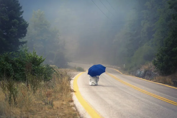 Young female in a raincoat and with umbrella on the road in the fog. Travel of women in the raincoat hitchhiking in the rain