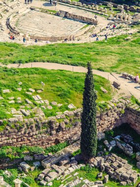Baharda yeşil çay tarlası, Fransa
