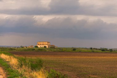Dağlarda üzüm bağları,.