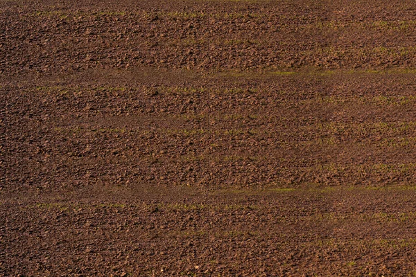 Brown Ground Texture Background — 스톡 사진