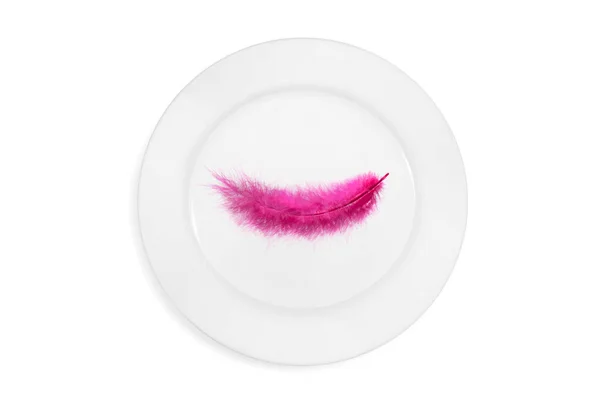 Top View Plate Pink Feather White Background Concept Healthy Light — Stock Photo, Image