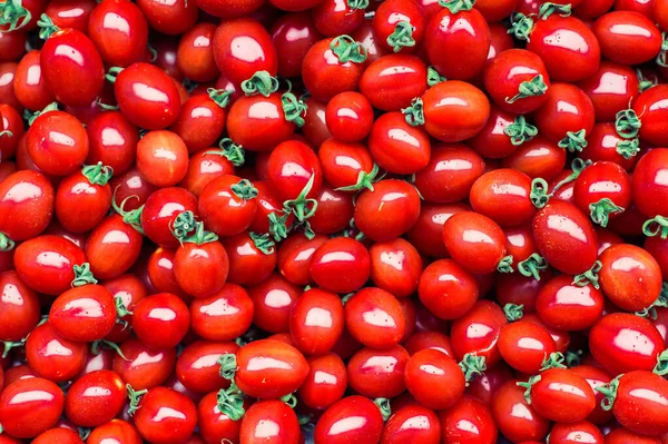 Background Small Washed Red Tomatoes — Stock Photo, Image