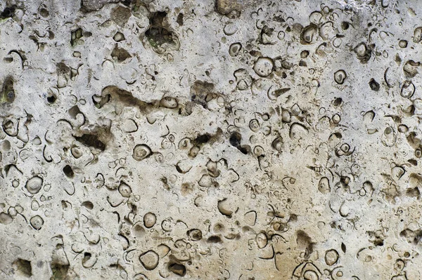 Fond Texture Des Couches Montagne Des Fissures Dans Roche Sédimentaire — Photo