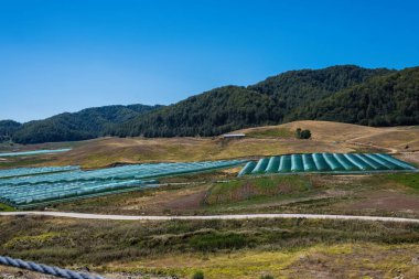 Tarladaki seraların hava manzarası