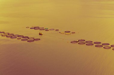 Akdeniz 'deki Balık Çiftliği, Kefalonia Adası, Yunanistan