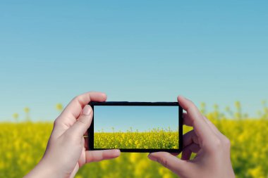 Cep telefonunda sarı çiçekli yaz tarlasının fotoğrafını çeken bir kadın..  