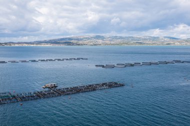 Akdeniz 'deki balık çiftliği. Kefalonia Adası, Yunanistan